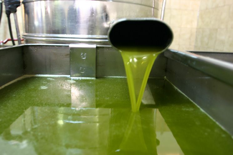 Olio extra vergine di oliva in Ciociaria