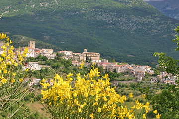 CAMPOLI APPENNINO