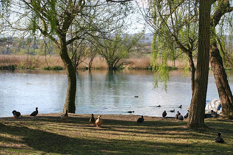 La Riserva del Lago di Posta Fibreno partecipa a “Vivi i Parchi del Lazio”