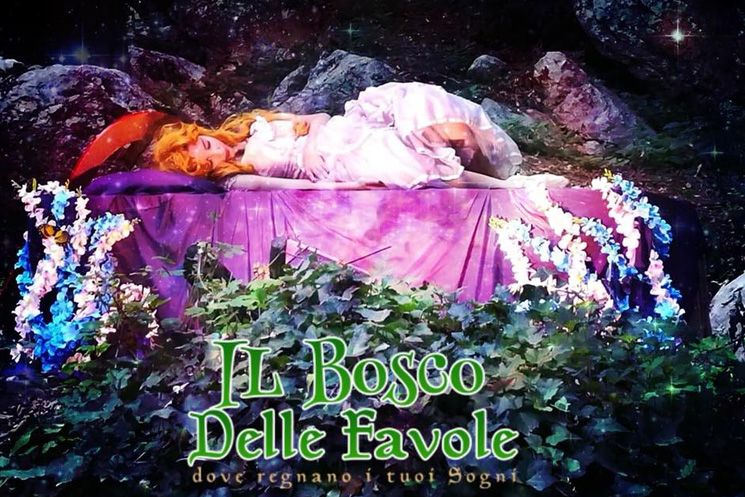 Il Bosco della Favole: Cassino fino al 19 Agosto 2018